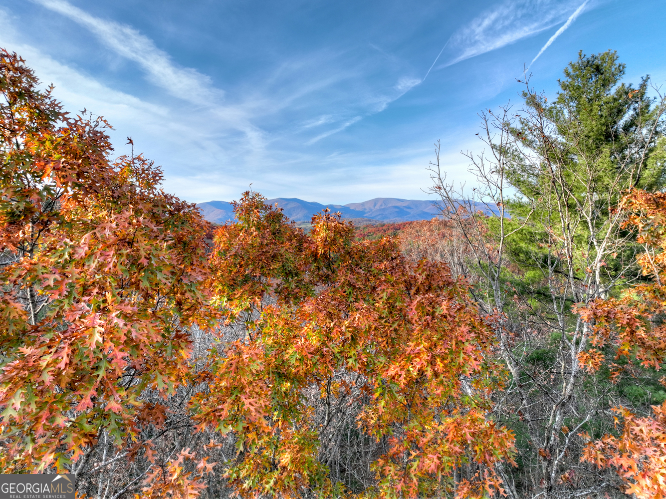 0 Creek Camp Road Ellijay, GA 30536 - Photo 11 of 40 a view of a yard