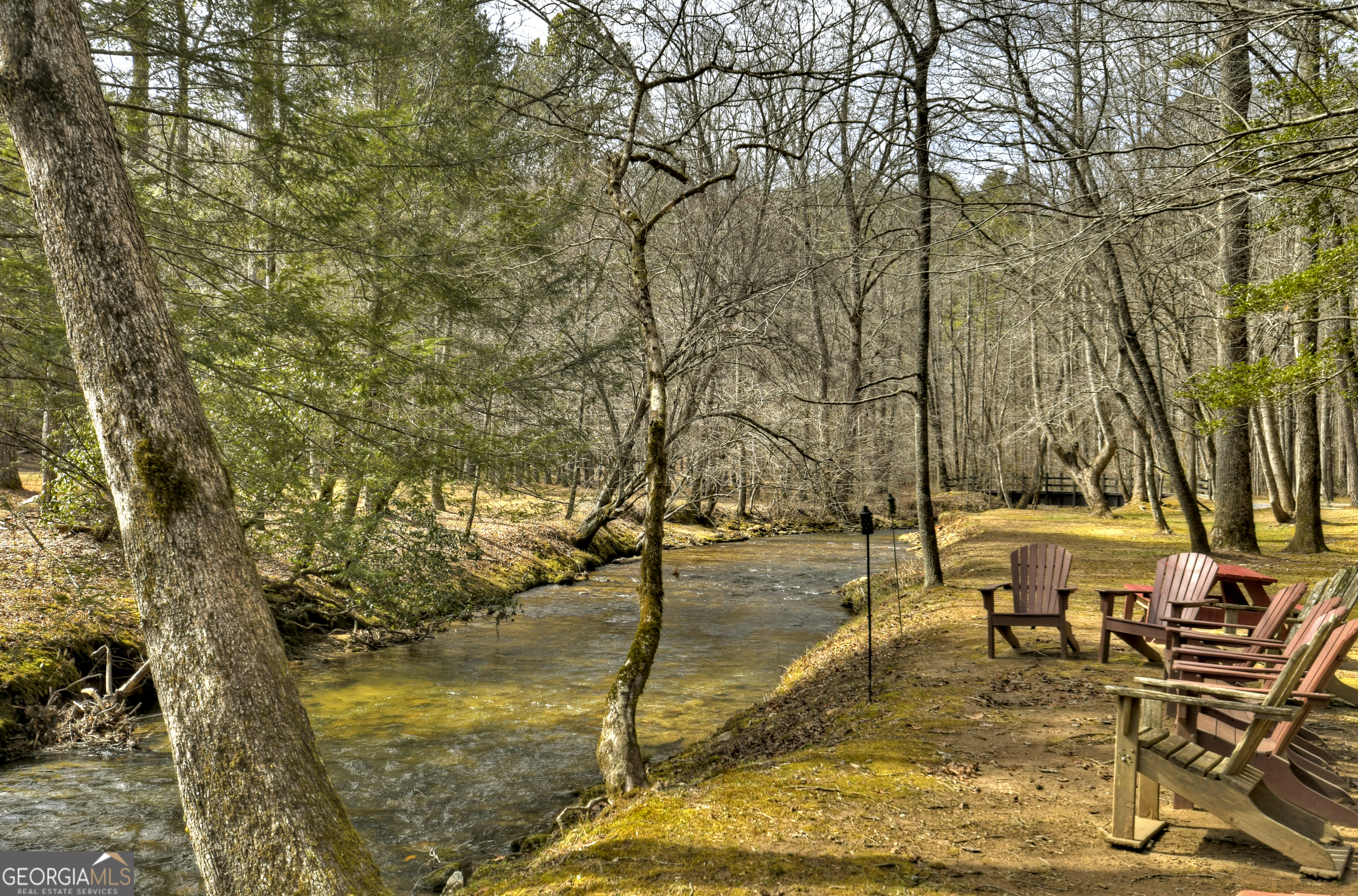 0 Creek Camp Road Ellijay, GA 30536 - Photo 23 of 40 a view of yard with trees