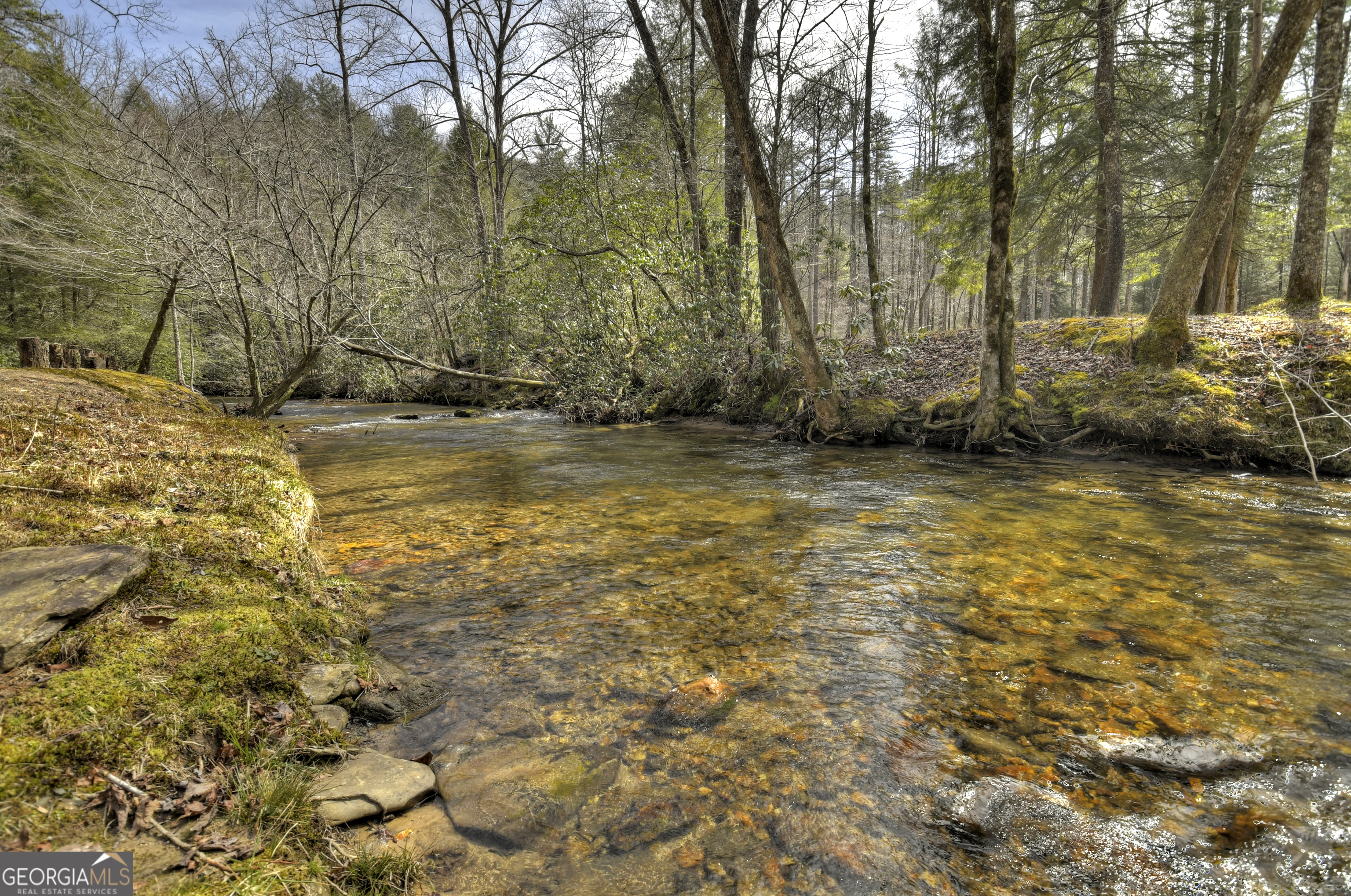 0 Creek Camp Road Ellijay, GA 30536 - Photo 24 of 40 a view of a yard with an trees