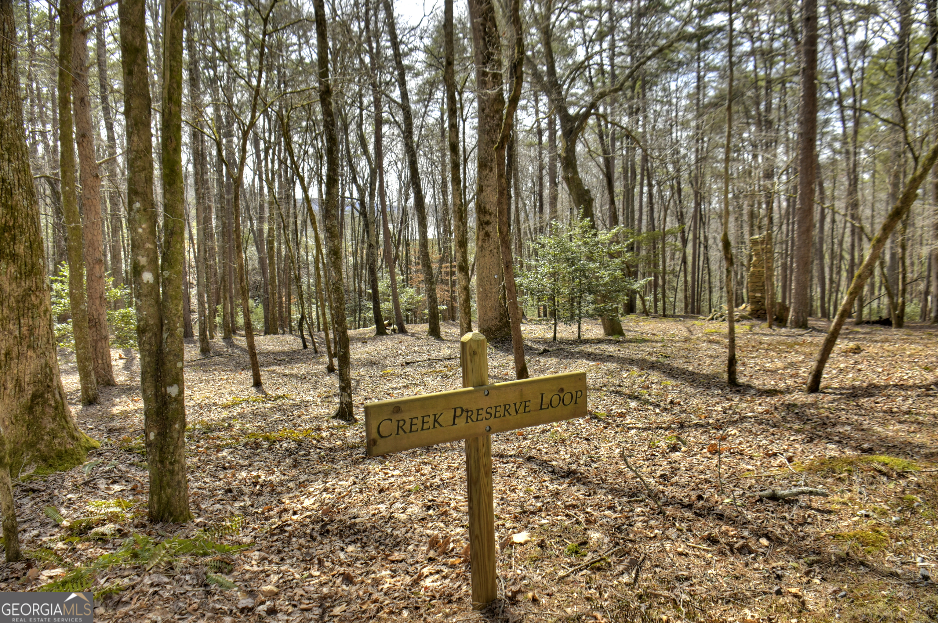 0 Creek Camp Road Ellijay, GA 30536 - Photo 26 of 40 a view of outdoor space with street view