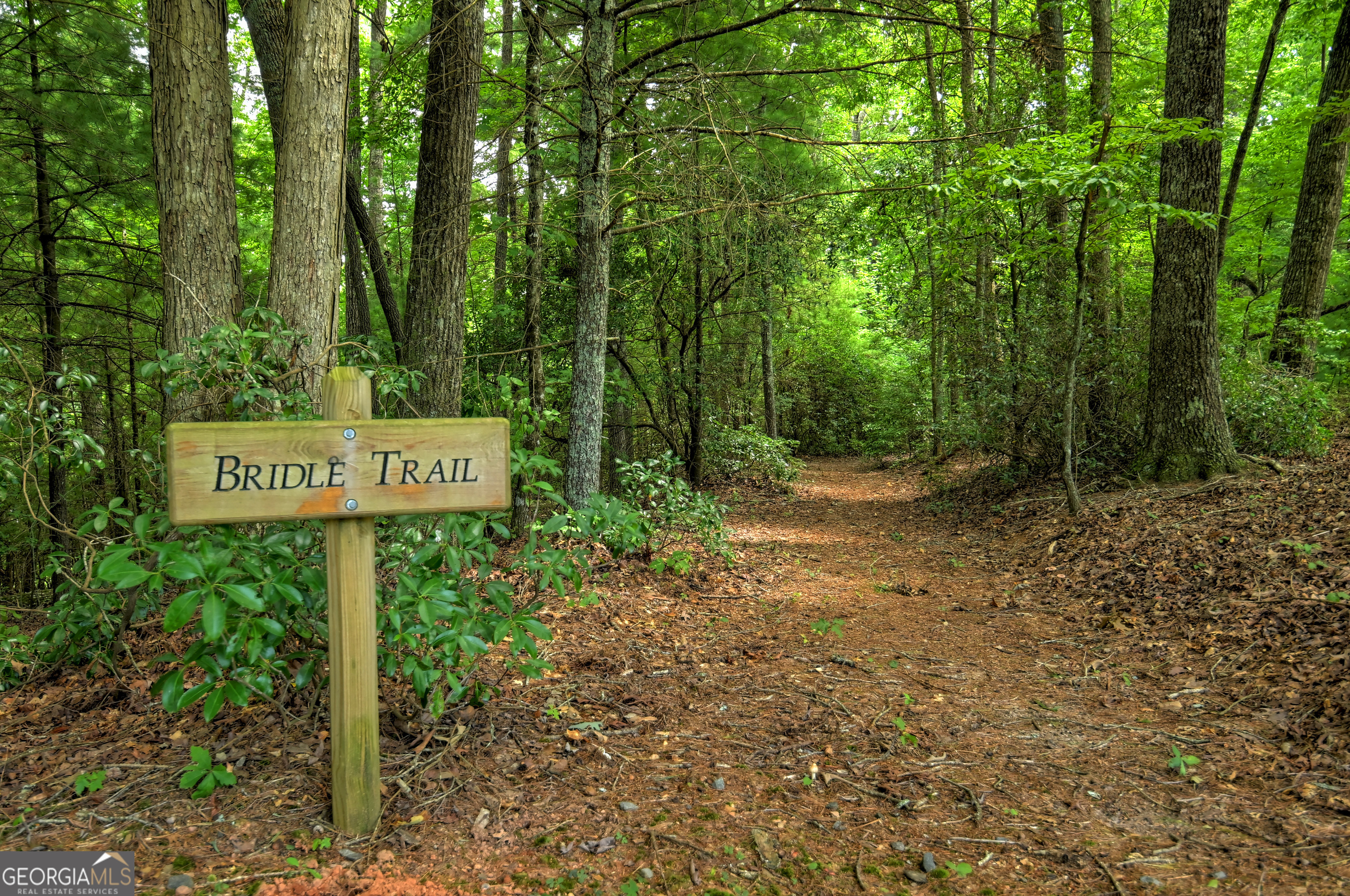 0 Creek Camp Road Ellijay, GA 30536 - Photo 27 of 40 a sign board with tall trees