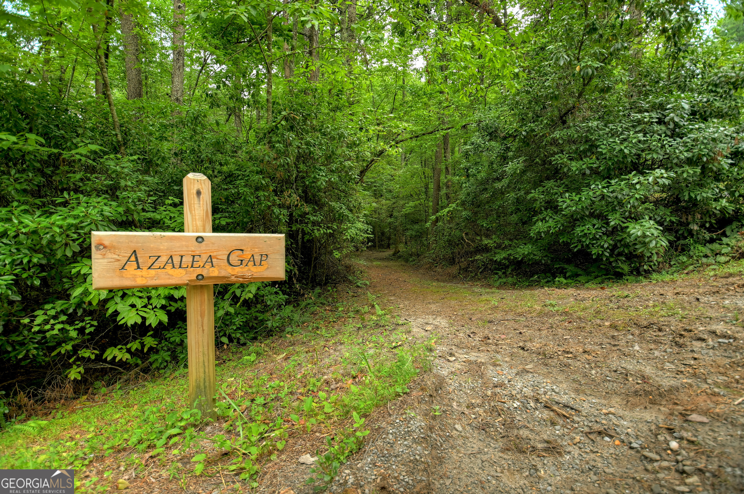 0 Creek Camp Road Ellijay, GA 30536 - Photo 29 of 40 a sign of golf club on a wall
