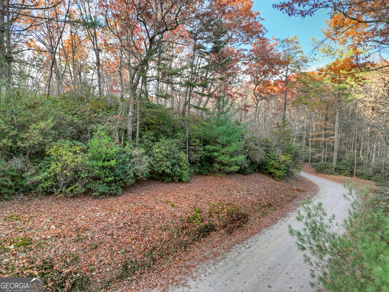 0 Creek Camp Road Ellijay, GA 30536 - Photo 3 of 40 a view of a dirt road with large trees