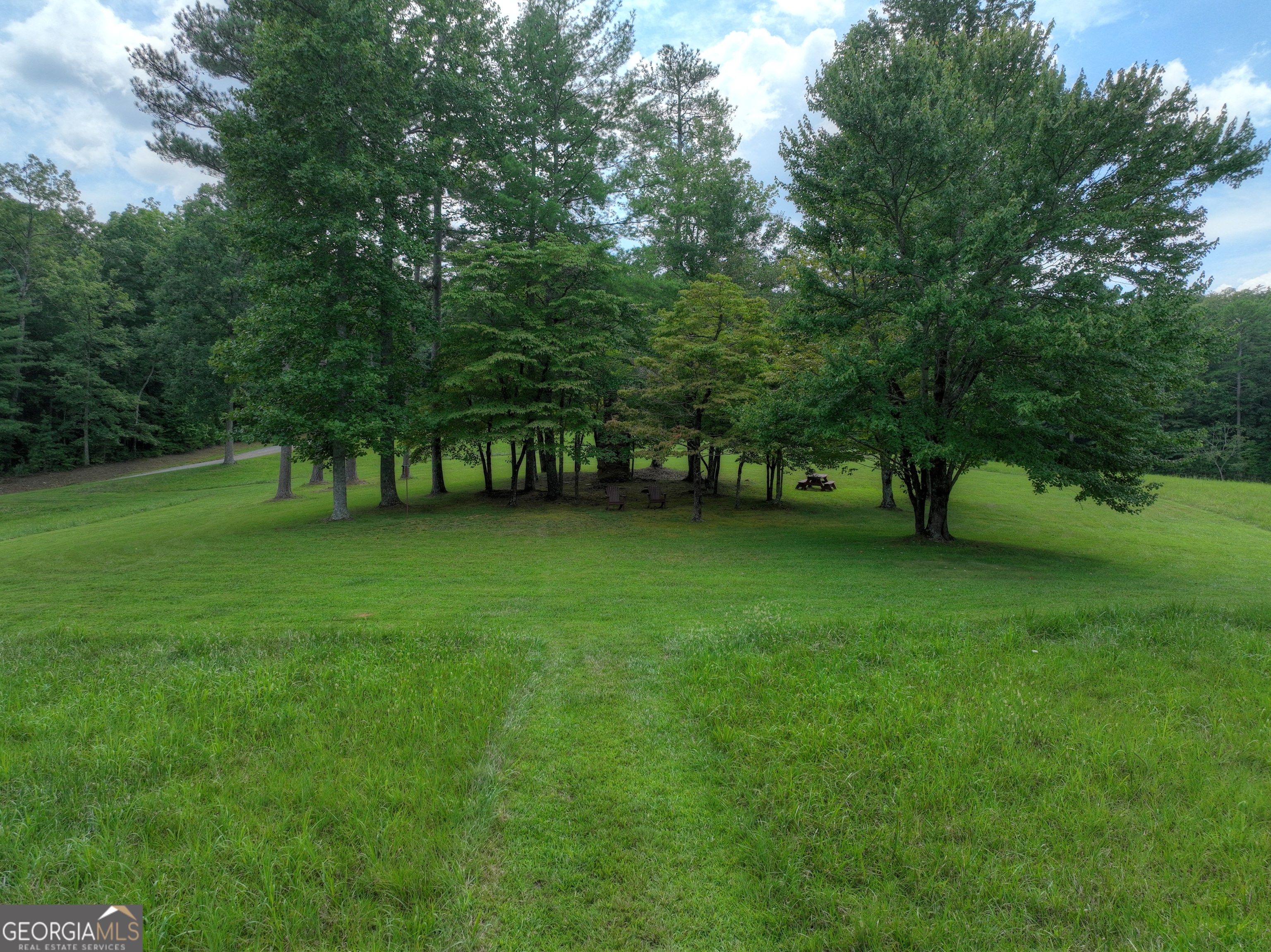 0 Creek Camp Road Ellijay, GA 30536 - Photo 32 of 40 a view of a garden with a bench