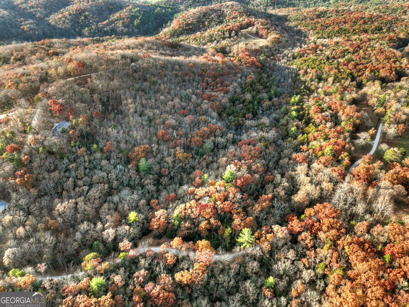 0 Creek Camp Road Ellijay, GA 30536 - Photo 33 of 40 a view of a tree