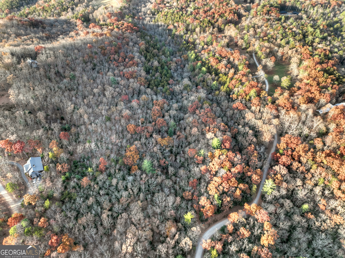 0 Creek Camp Road Ellijay, GA 30536 - Photo 36 of 40 a view of a tree