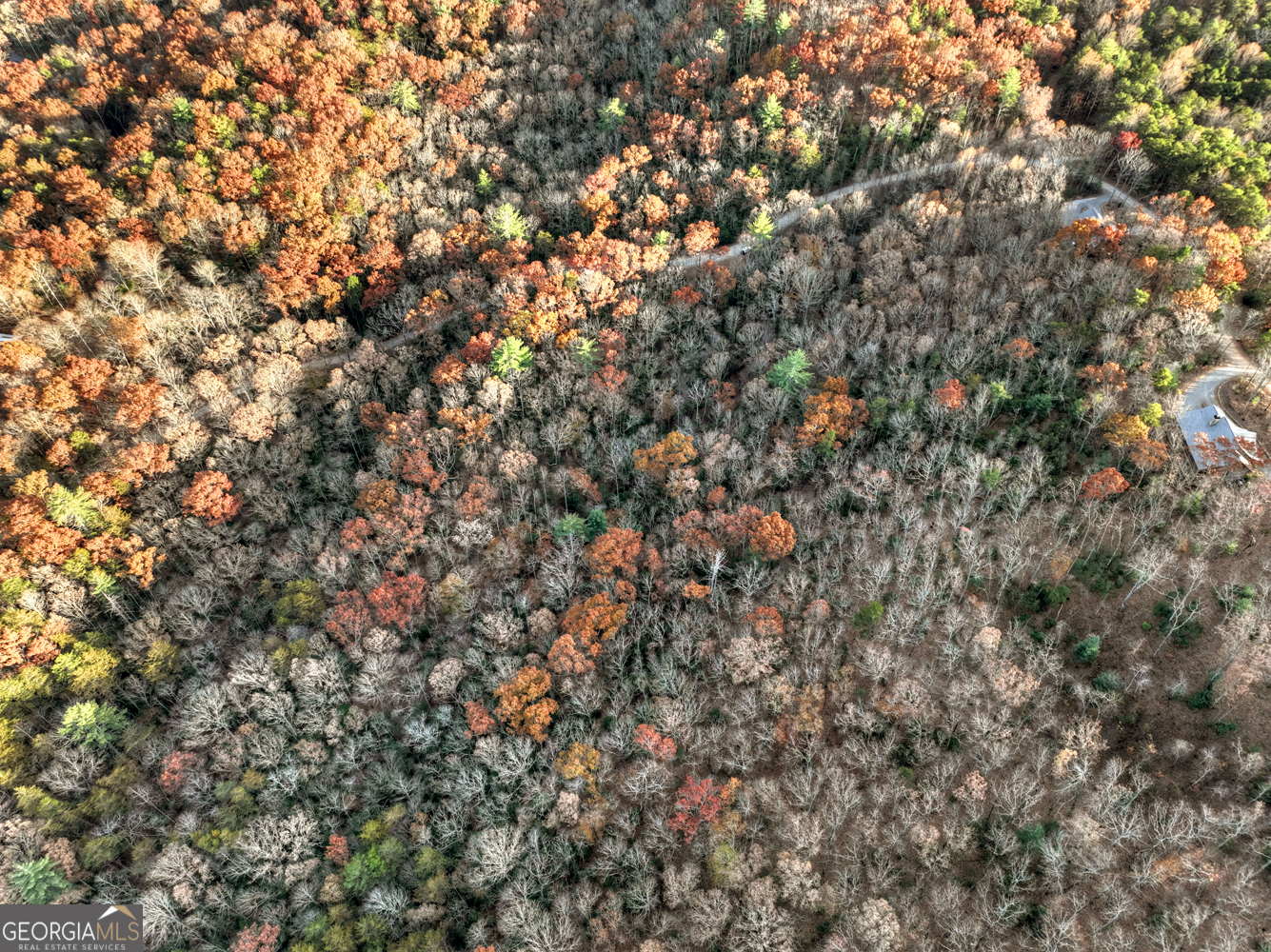 0 Creek Camp Road Ellijay, GA 30536 - Photo 37 of 40 a view of a tree