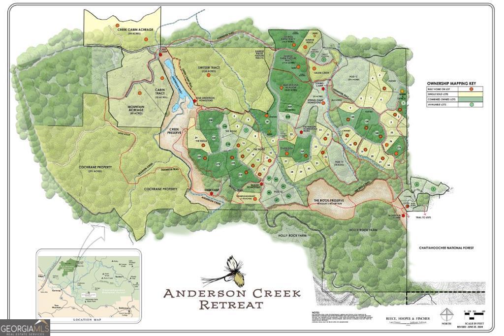 0 Creek Camp Road Ellijay, GA 30536 - Photo 40 of 40 a picture of a tree