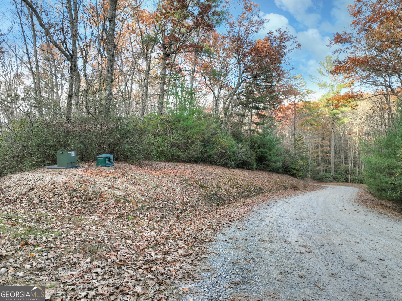 0 Creek Camp Road Ellijay, GA 30536 - Photo 4 of 40 a view of a yard with large trees