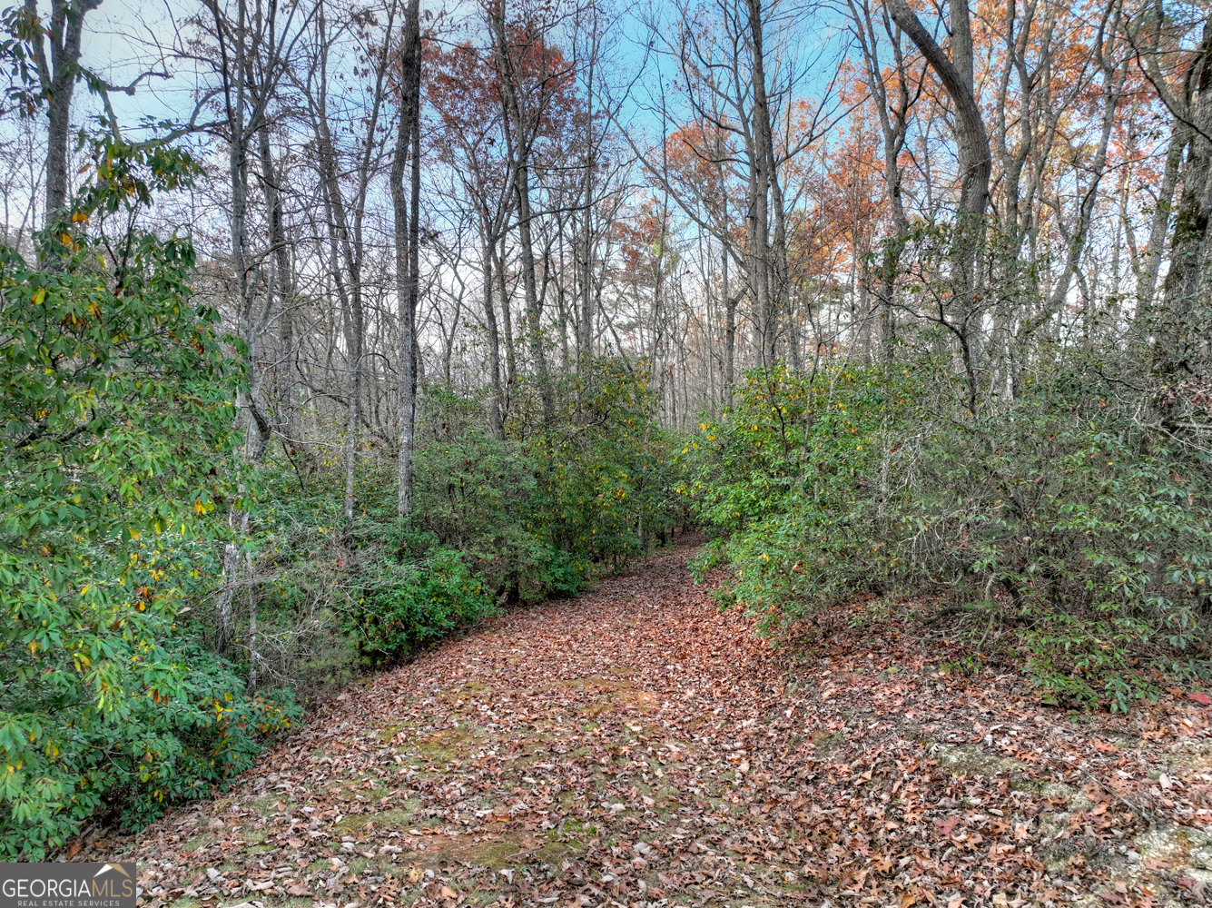 0 Creek Camp Road Ellijay, GA 30536 - Photo 6 of 40 a big yard with lots of green space and deers