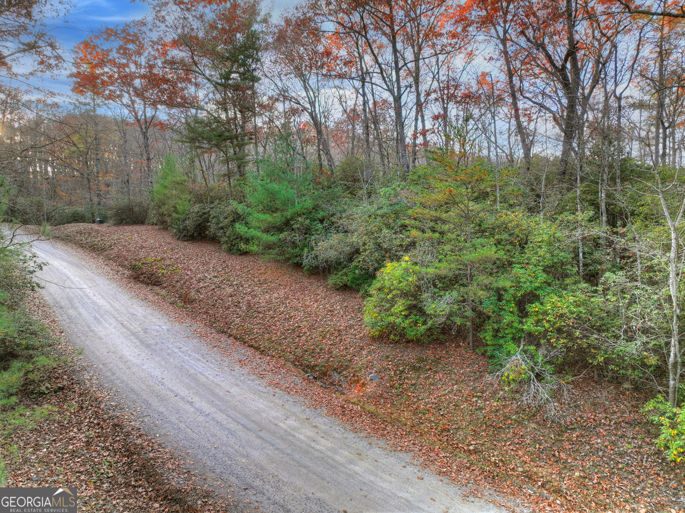 0 Creek Camp Road Ellijay, GA 30536 - Photo 8 of 40 a big yard with lots of green space