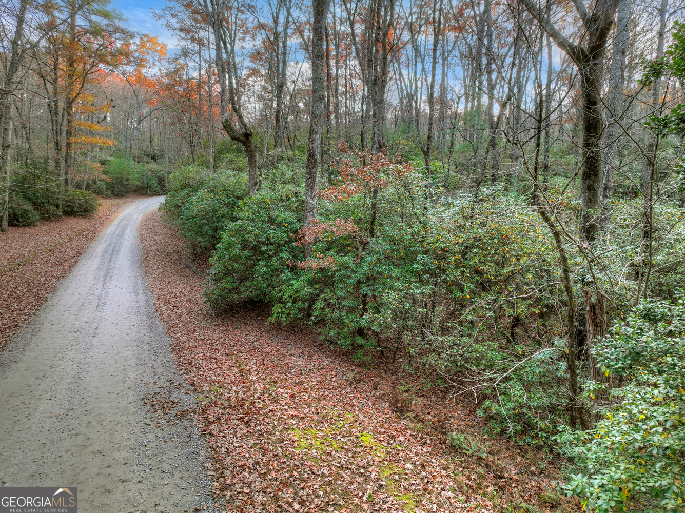 0 Creek Camp Road Ellijay, GA 30536 - Photo 10 of 40 a view of a yard with plants and large trees