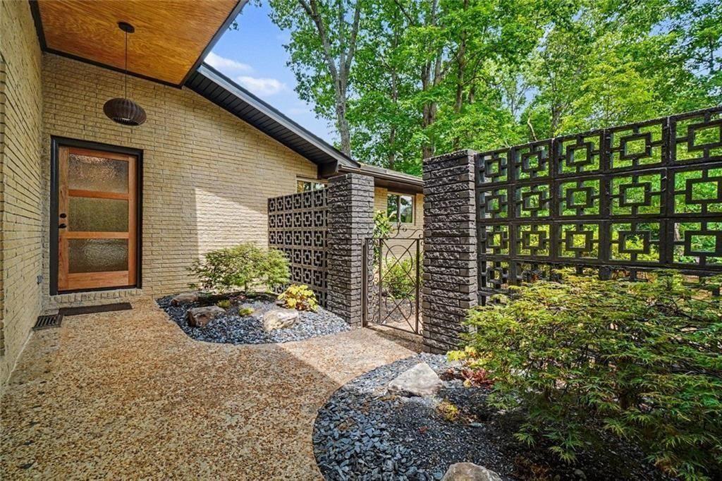 a view of a backyard with plants and large trees