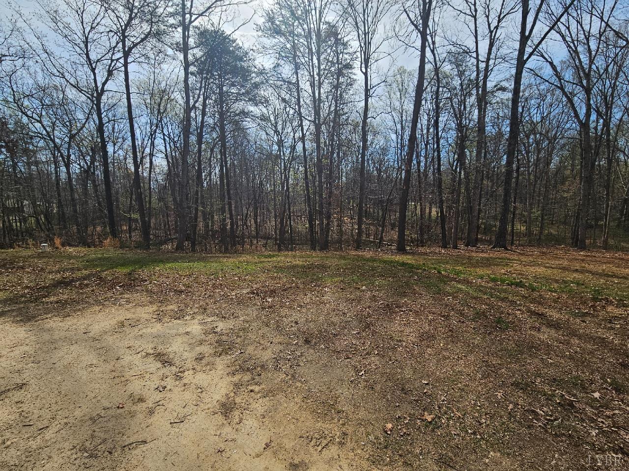 415 Plum Branch Road Lynchburg, VA 24504 - Photo 13 of 17 a view of outdoor space with trees