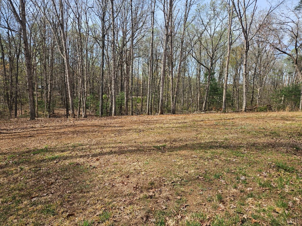 415 Plum Branch Road Lynchburg, VA 24504 - Photo 15 of 17 a big yard with trees
