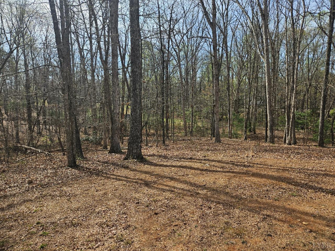 415 Plum Branch Road Lynchburg, VA 24504 - Photo 16 of 17 a view of outdoor space with trees