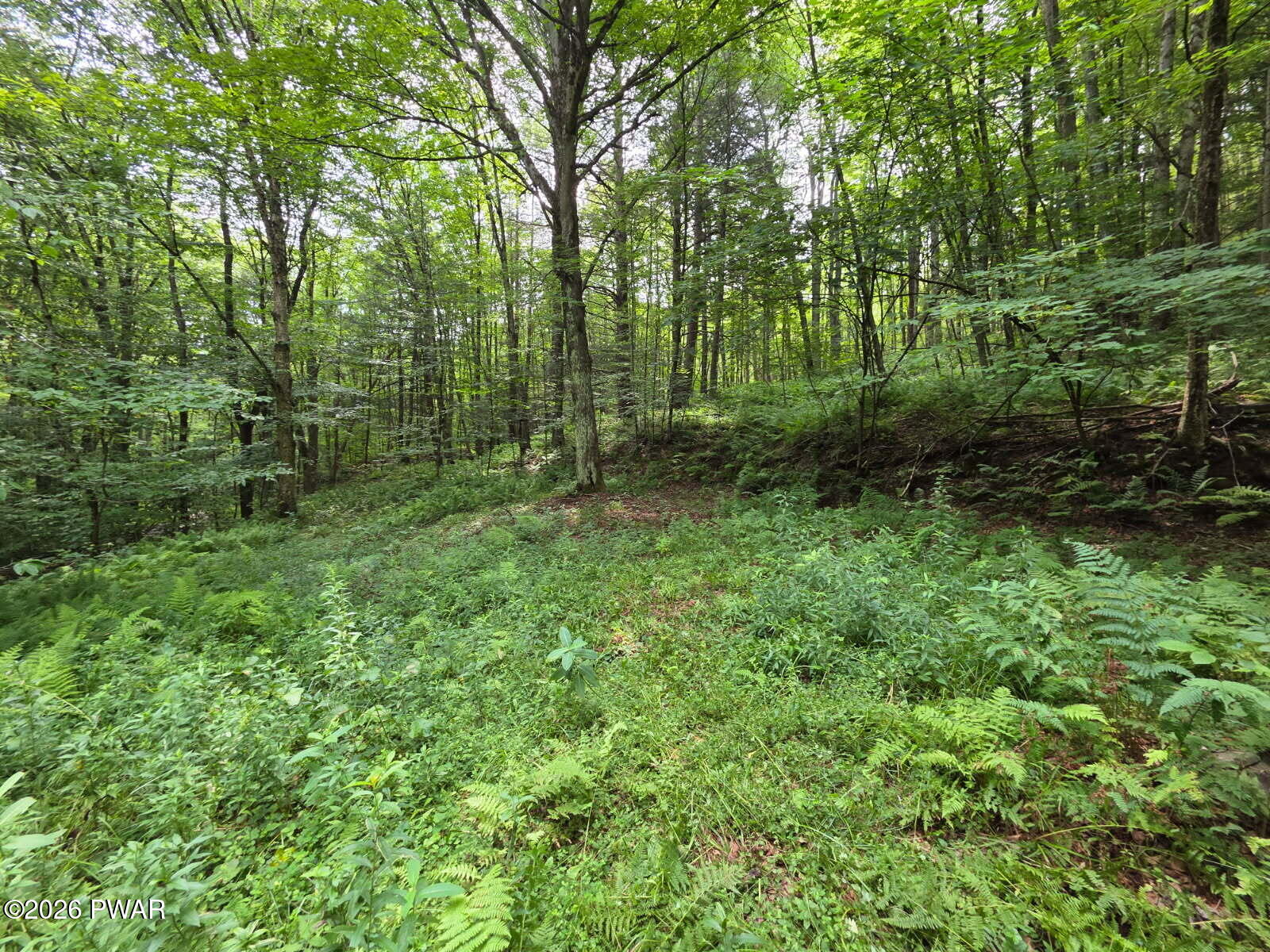 570 Pleasant Valley Road Starlight, PA 18461 - Photo 21 of 21 Gallery Image 21