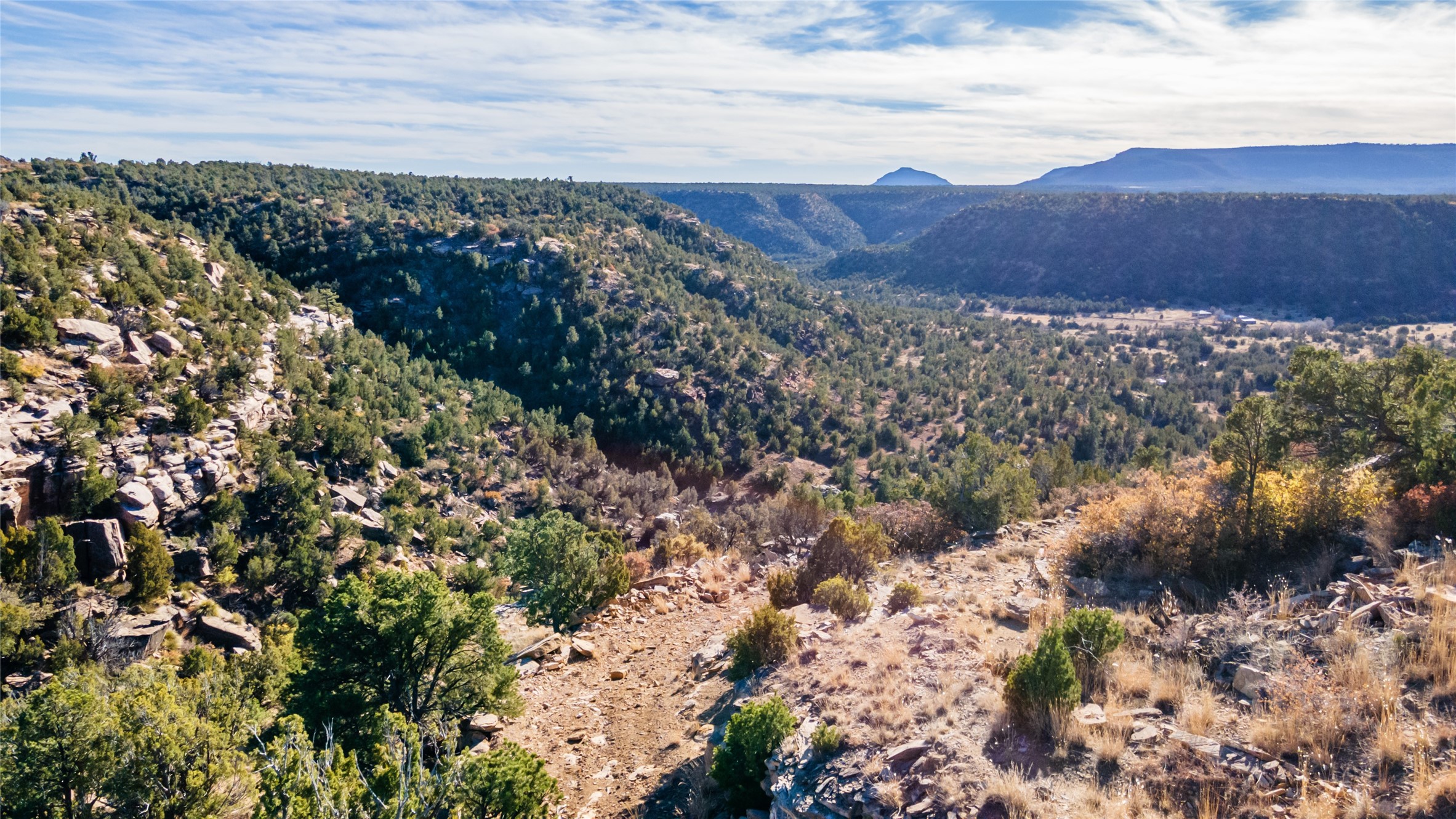 Road up to Mesa