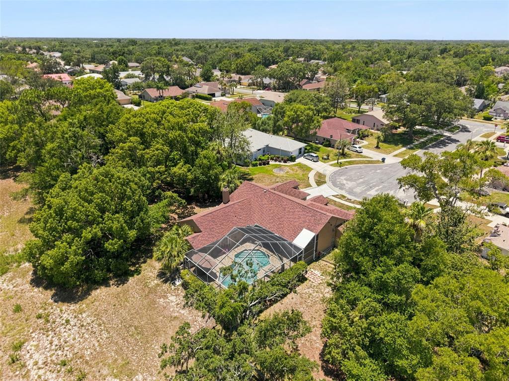 10296 Windsor Court Spring Hill, FL 34608 - Photo 60 of 69
