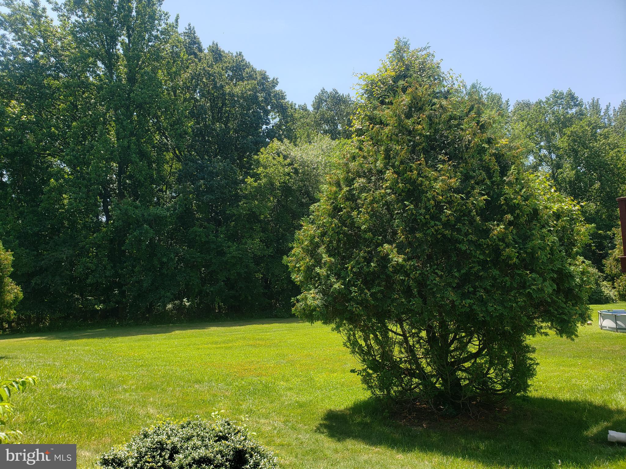 35 Versailles Boulevard Cherry Hill, NJ 08003 - Photo 16 of 16 a view of a yard