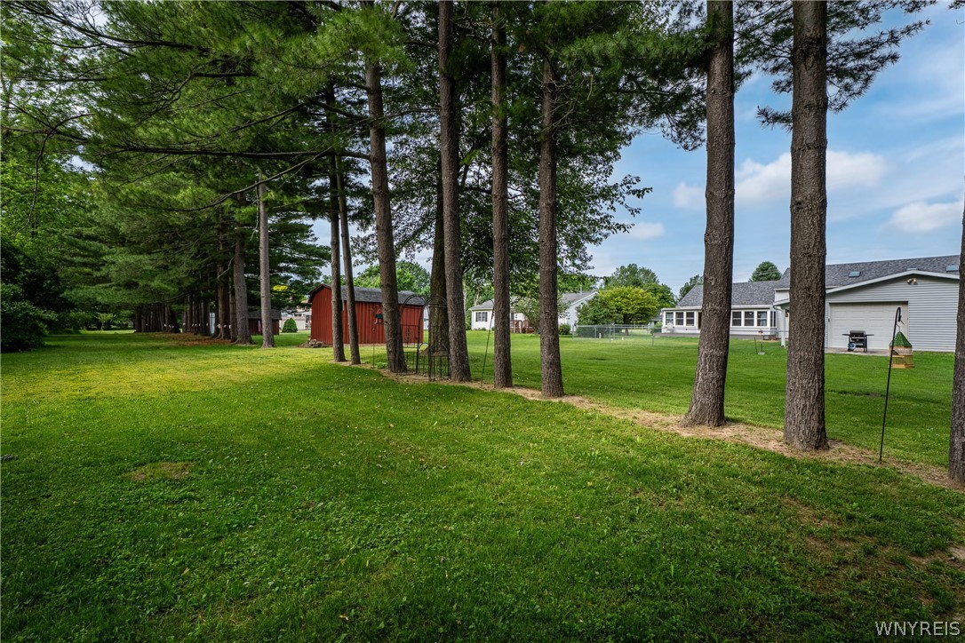 4257 Freeman Road Royalton, NY 14105 - Photo 8 of 46