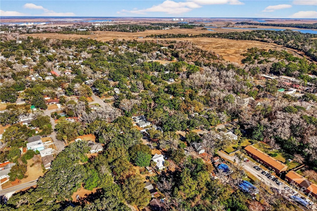 2322 Bonaventure Road Savannah, GA 31404 - Photo 46 of 47