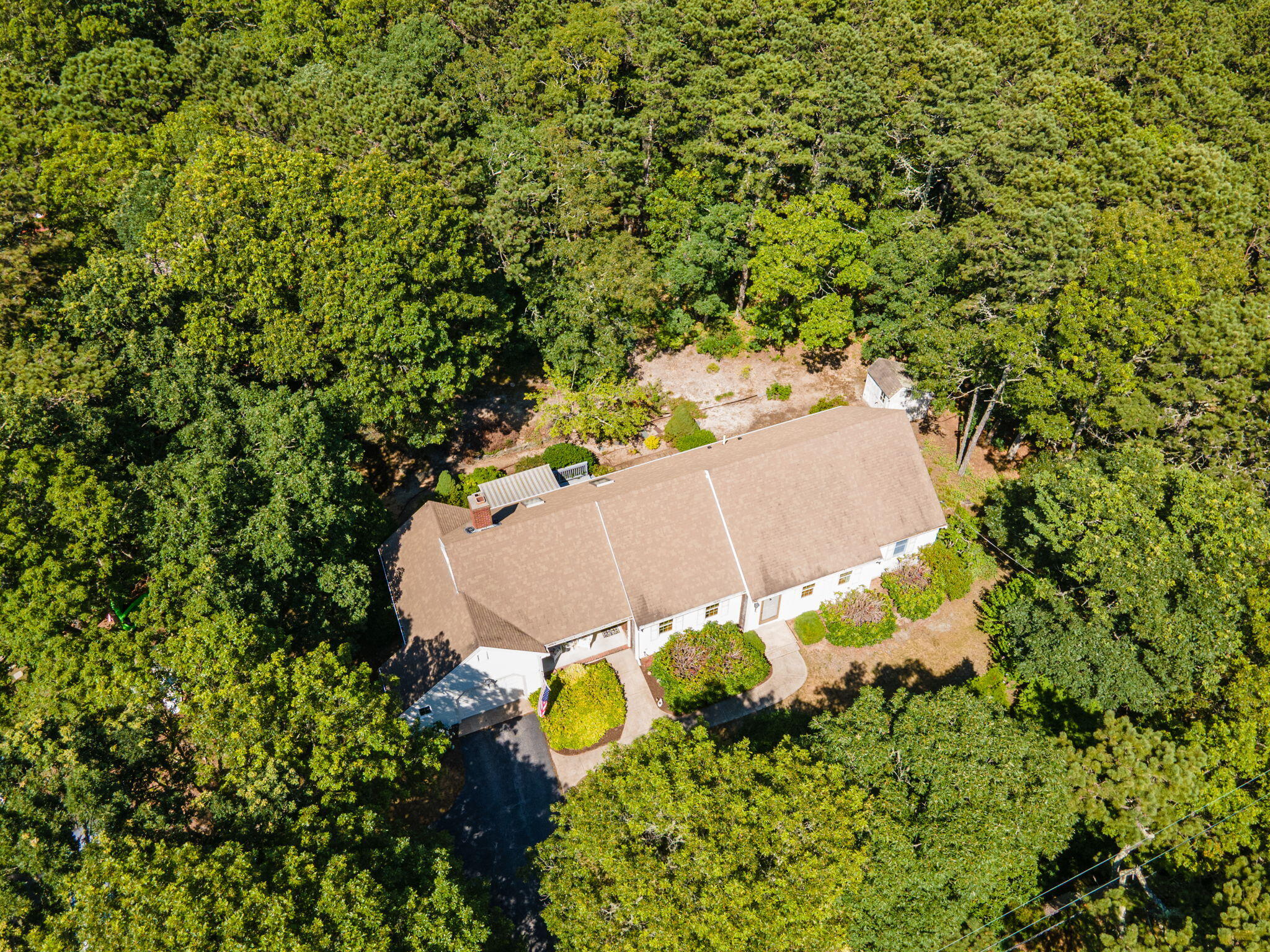 19 Fishermans Landing Road Brewster, MA 02631 - Photo 37 of 58 view of a tree with a yard