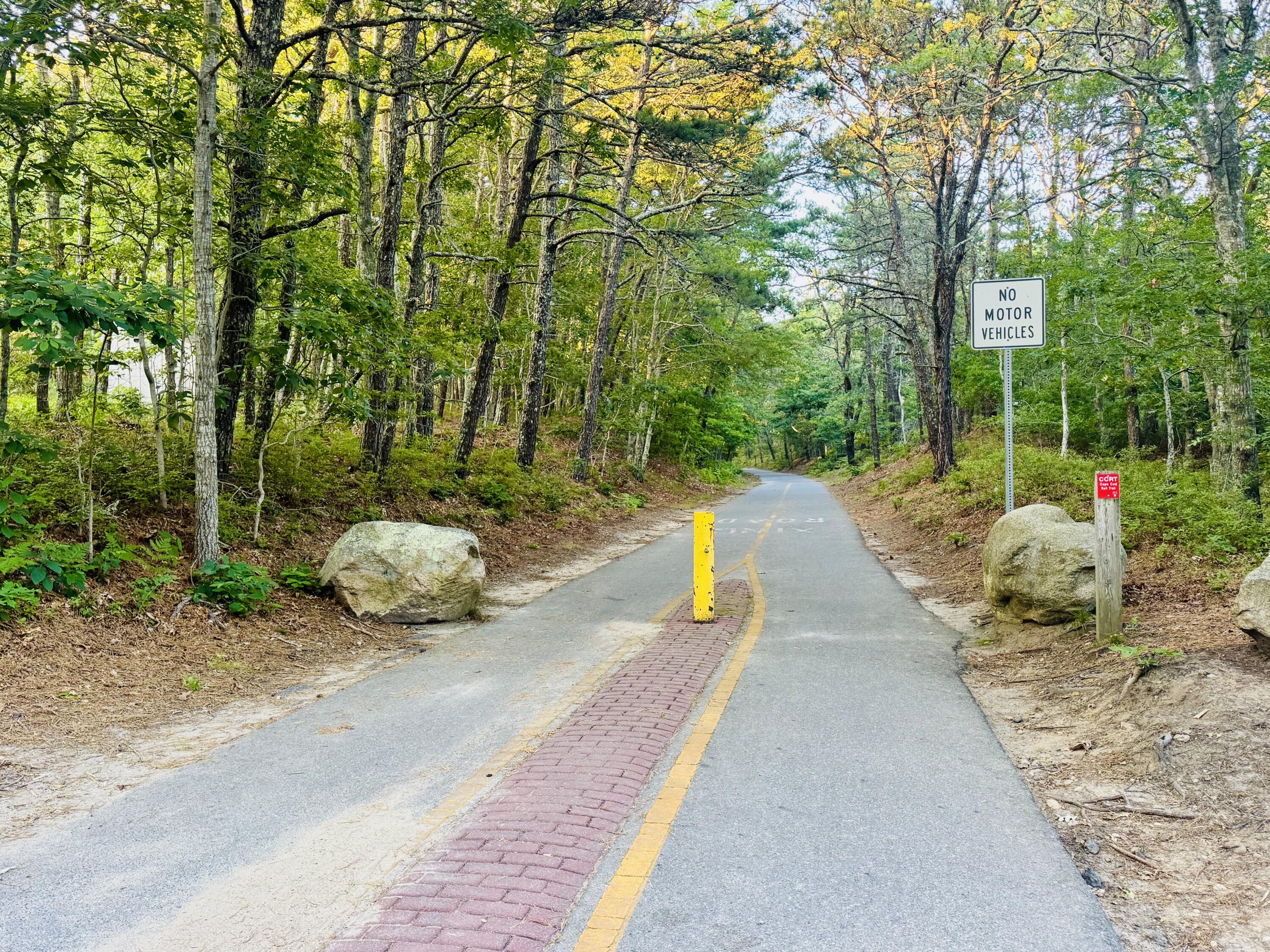 19 Fishermans Landing Road Brewster, MA 02631 - Photo 6 of 58 a view of a park with large trees