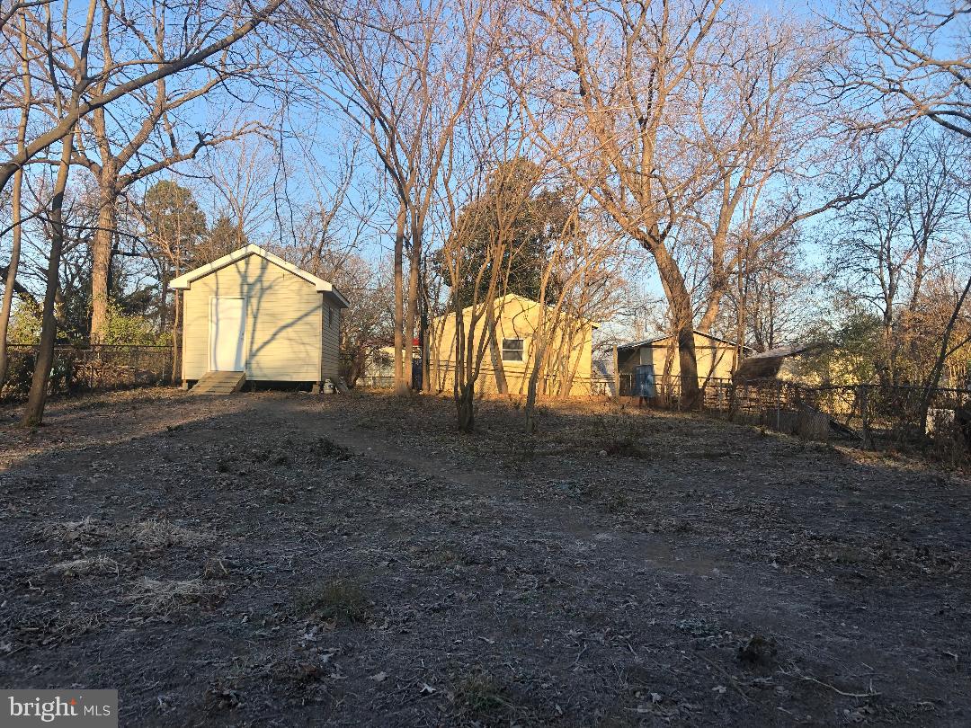 8714 Edmonston Road Berwyn Heights, MD 20740 - Photo 3 of 19 Backyar and shed