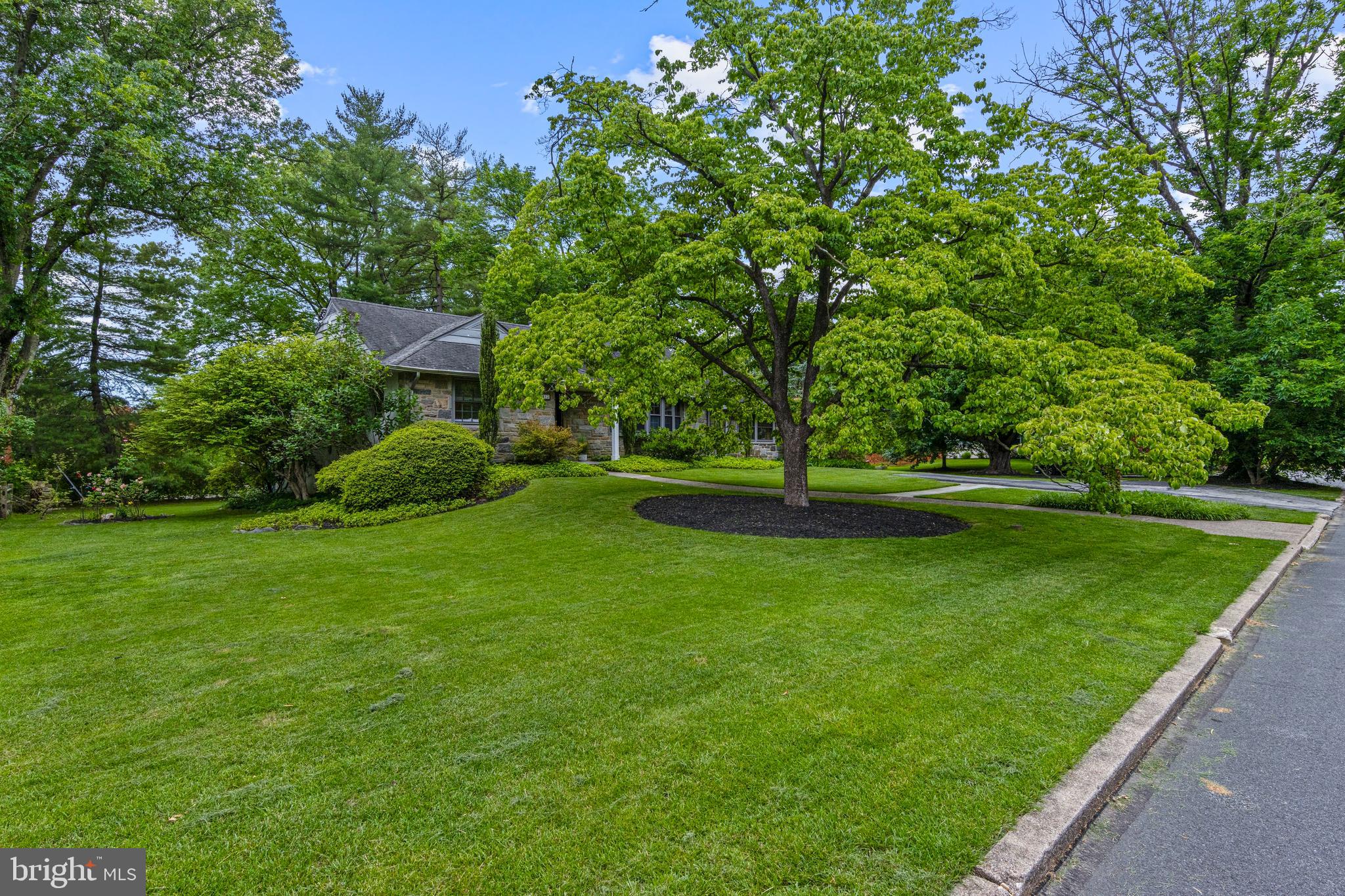 413 Hawthorne Road Wallingford, PA 19086 - Photo 43 of 52 a view of a garden with trees