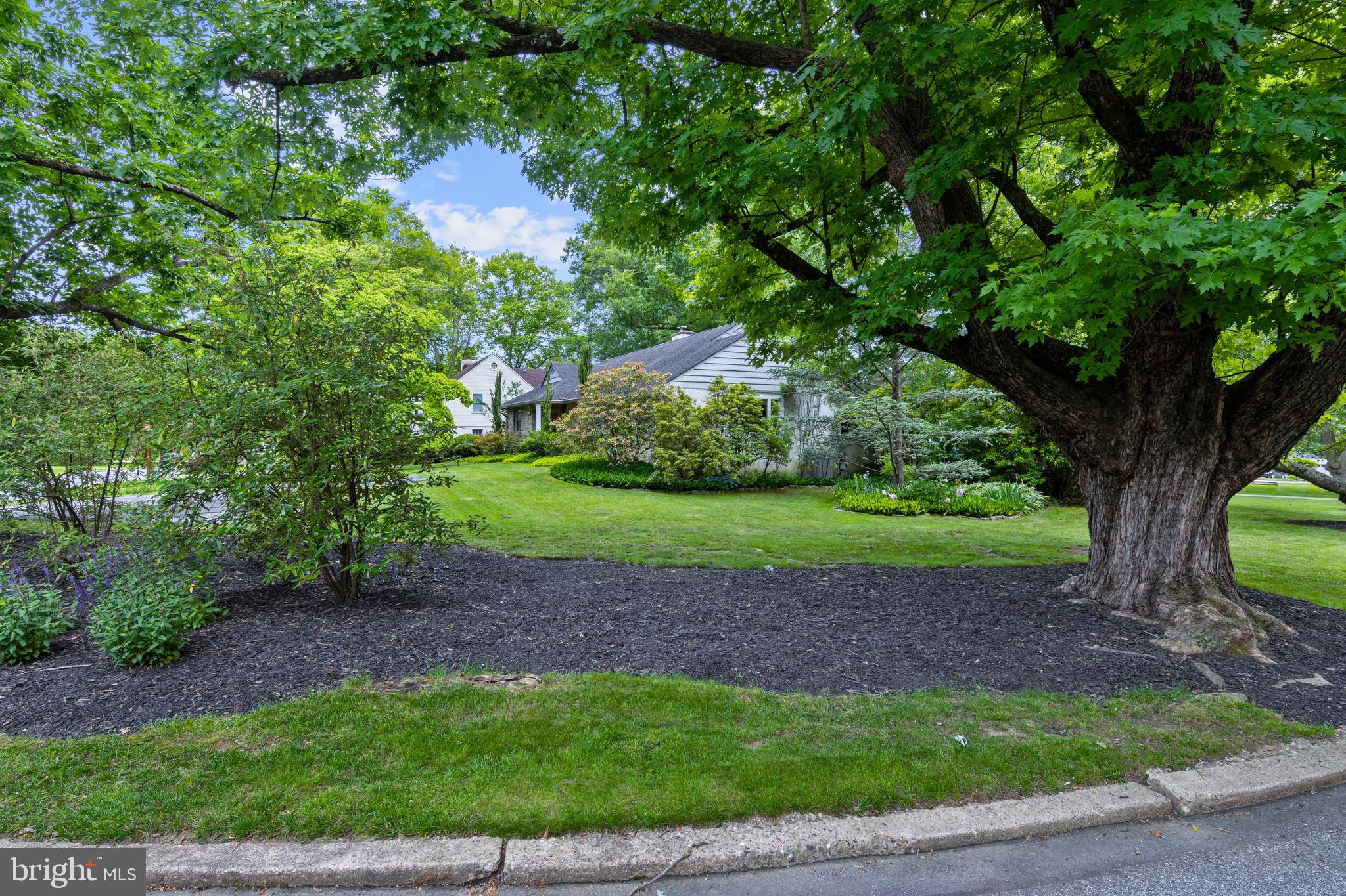 413 Hawthorne Road Wallingford, PA 19086 - Photo 49 of 52 a view of a garden with a tree