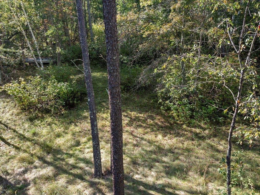 37061 Delta Bay Road Pine River, MN 56474 - Photo 14 of 18