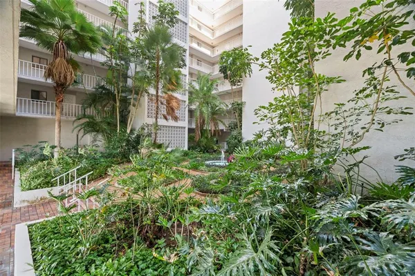 a view of a garden with plants