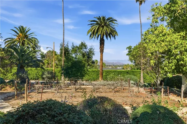 a living room with fireplace furniture and a wooden floor