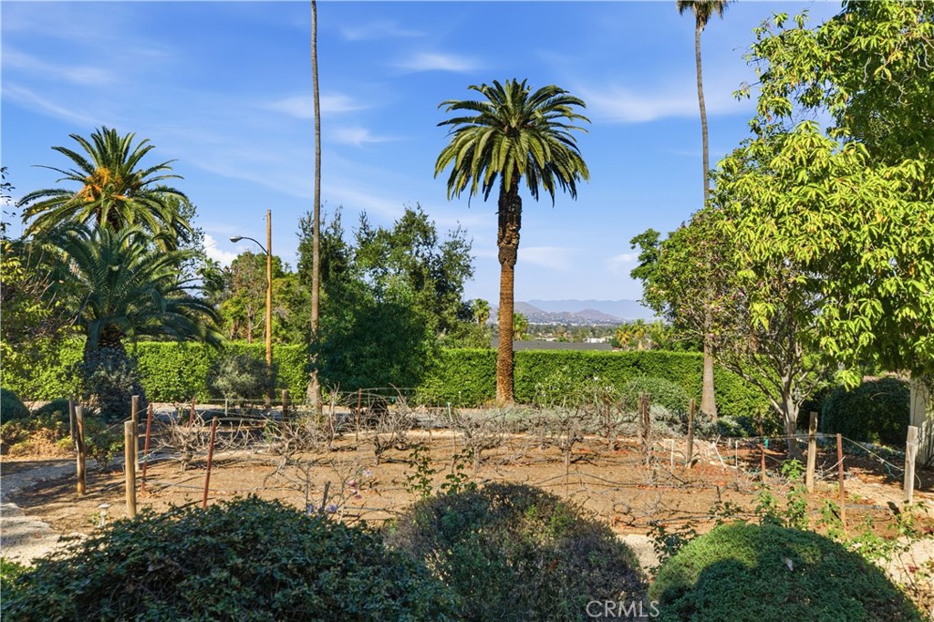 2855 McAllister Street Riverside, CA 92503 - Photo 17 of 75