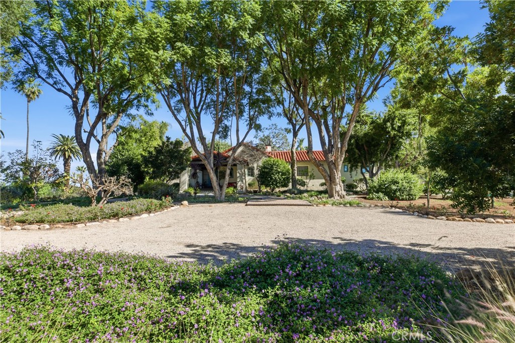 2855 McAllister Street Riverside, CA 92503 - Photo 4 of 75 a wooden bench with a tree in the background