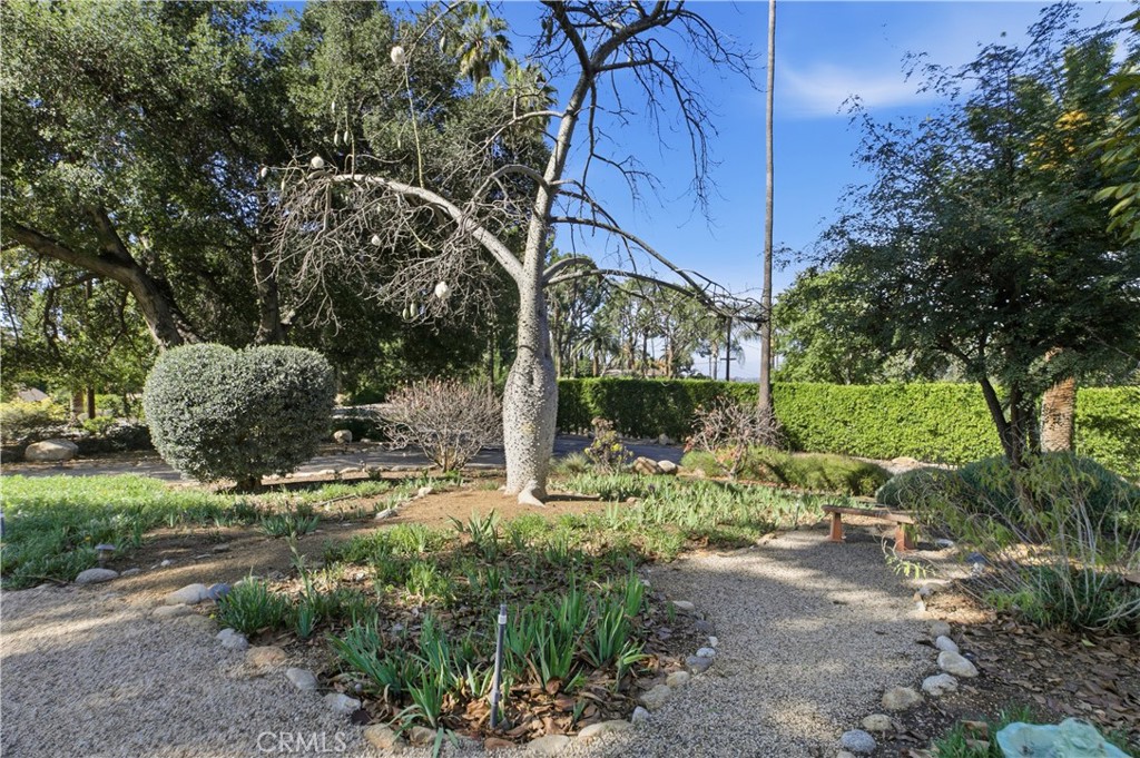 2855 McAllister Street Riverside, CA 92503 - Photo 7 of 75 a view of a park with plants and trees