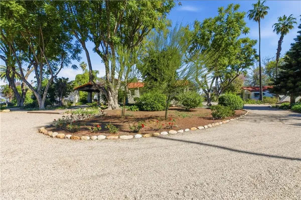a view of a yard with plants and trees
