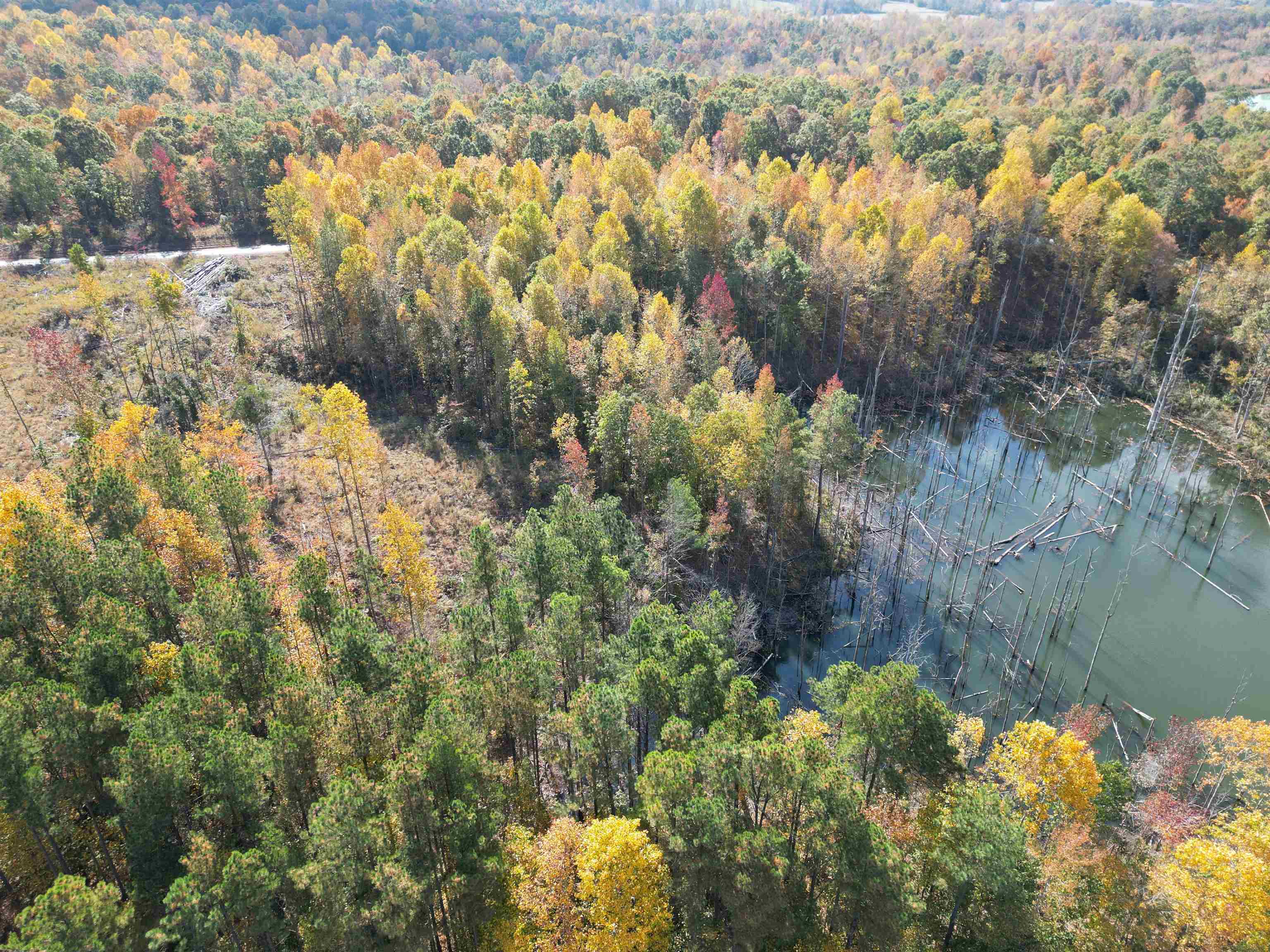 Tract 2 Purdy Road Huntingdon, TN 38344 - Photo 7 of 11