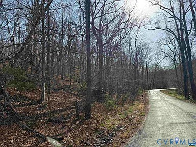 0 Paynes Pond Road Scottsville, VA 24590 - Photo 9 of 44