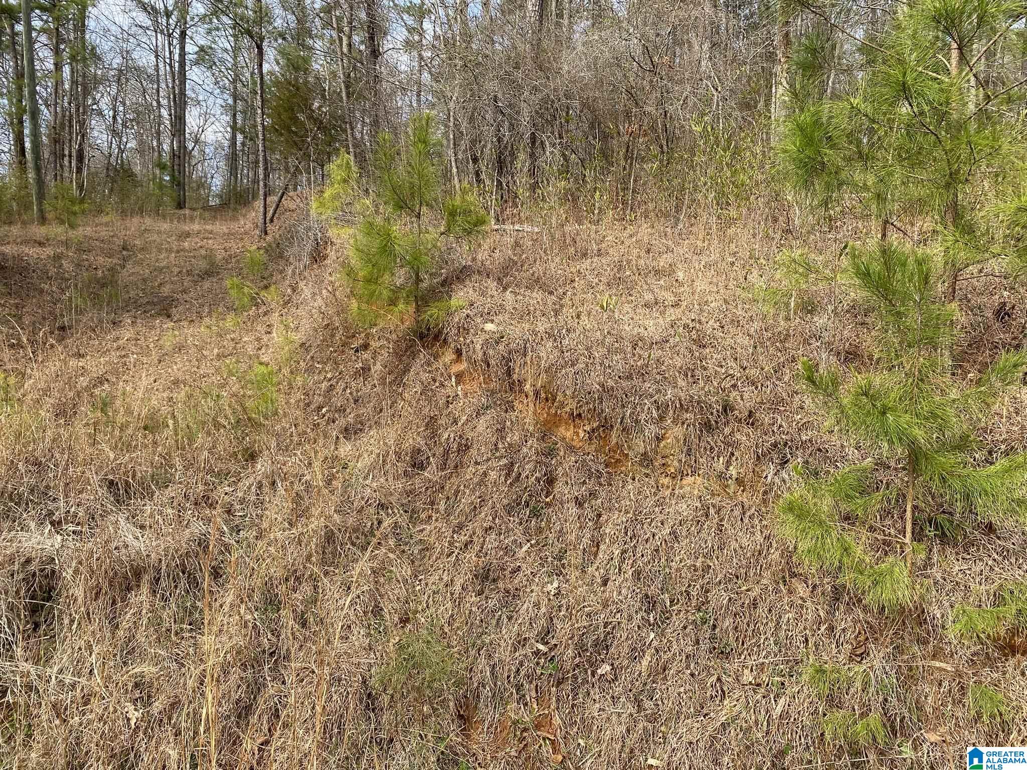 Mohawk Cliff Road, Unit 5 Ohatchee, AL 36271 - Photo 10 of 14