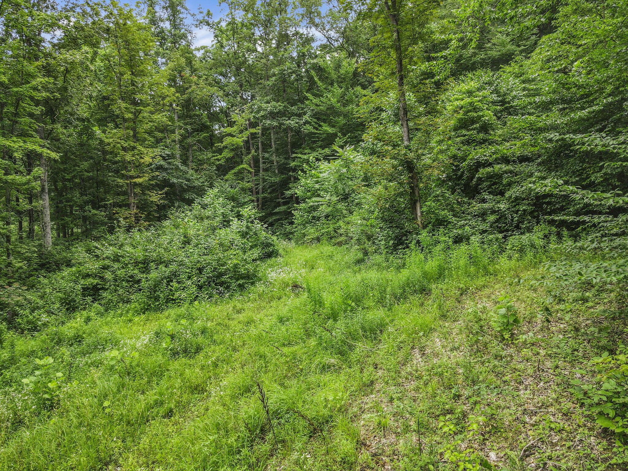0 Greens Run Road Glouster, OH 45732 - Photo 80 of 121 80-web-or-mls-DJI_0327