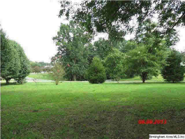 4203 Sardis-Airport Road Addison, AL 35540 - Photo 3 of 15