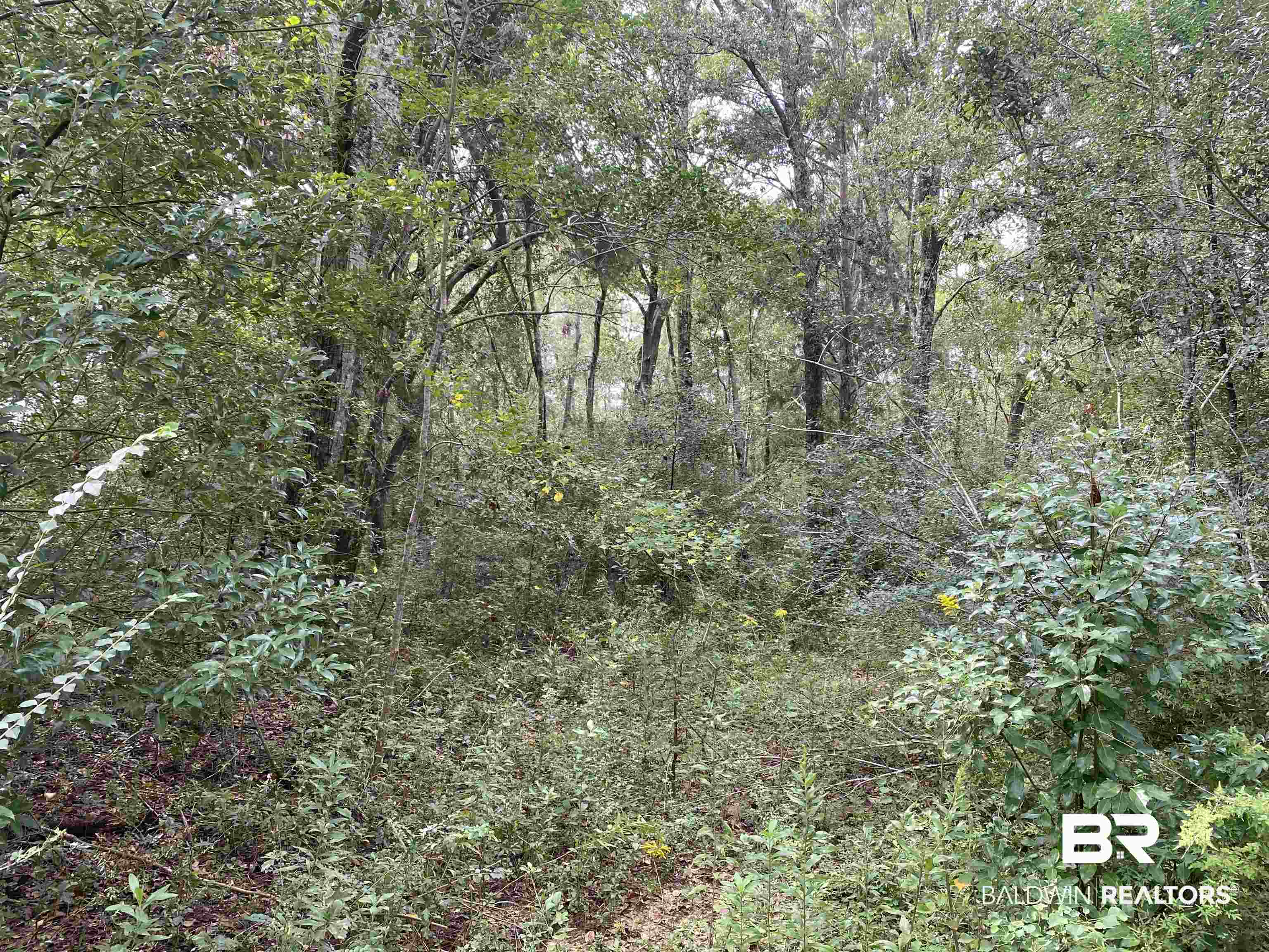 0 Dawson Road Loxley, AL 36551 - Photo 3 of 9 Gallery Image 3