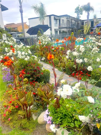a view of yard with swimming pool