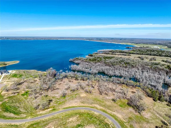 a view of a big yard with a large trees