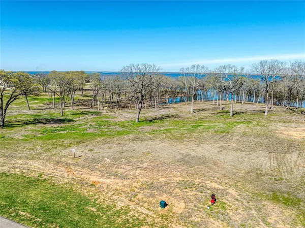 a view of a park with large trees