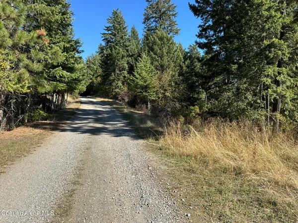 $250,000 | L21-l22 North Terrace Drive, Bayview, ID 83803