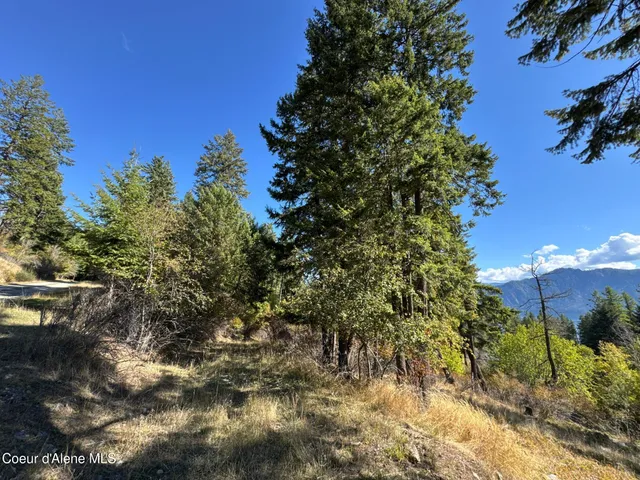 $250,000 | L21-l22 North Terrace Drive, Bayview, ID 83803