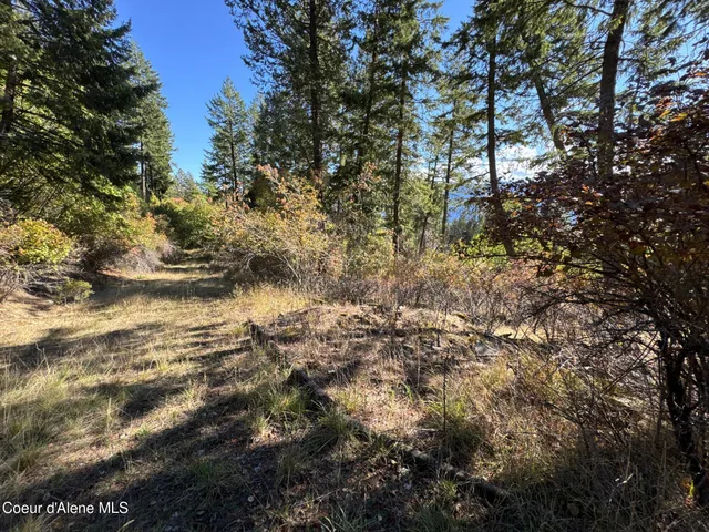 $250,000 | L21-l22 North Terrace Drive, Bayview, ID 83803